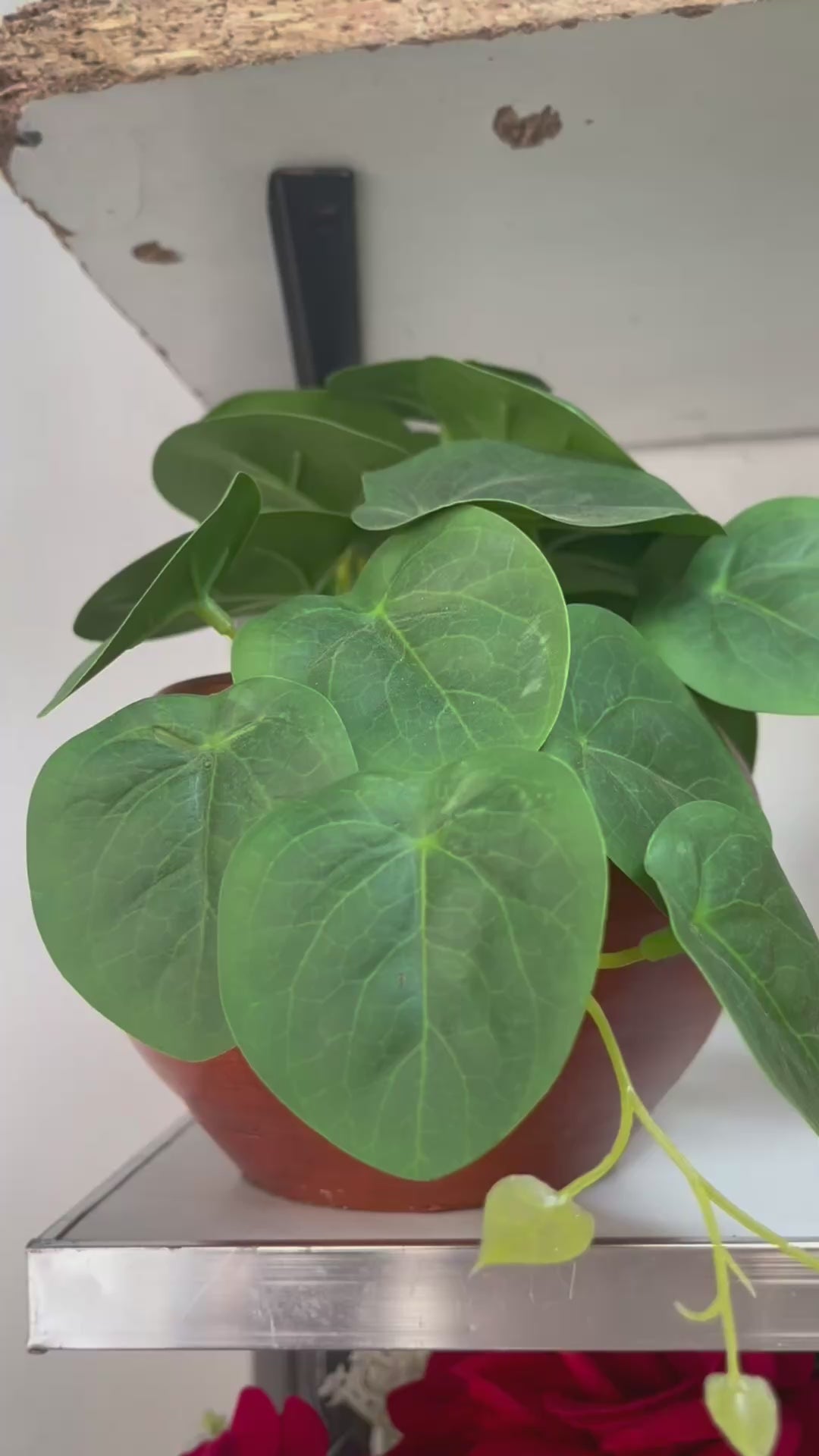 نباتات صناعية بلمسة طبيعية🪴🌵💐